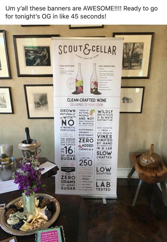 Scout & Cellar Tall Retractable Banner